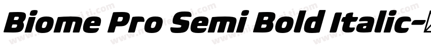 Biome Pro Semi Bold Italic字体转换